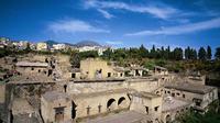 Herculaneum and Pompeii Tour from Sorrento
