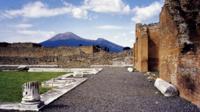 Mt Vesuvius and Pompeii Tour by Bus from Sorrento