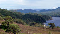 3-Day Mountain Bike Tour in The Cairngorms