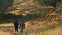 3 Day Tour: Highlands of Scotland Whisky and Hiking