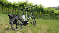 E-bike Tour: Amarone Tasting at Zanoni winery