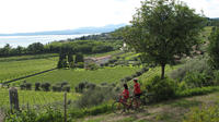 E-bike Tour: Lake Garda and Bardolino Wine Tasting