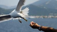 Island Princess Cruise Istanbul Visite