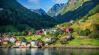 Private Tour to Sognefjord, Gudvangen and Flåm from Bergen