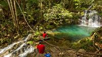 Full-Day Waterfall Expedition at Mayflower Bocawina National Park