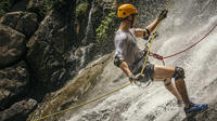 Waterfall Rappelling and Zipline Adventure at Bocawina Rainforest image 1 Waterfall Rappelling and Zipline Adventure at Bocawina Rainforest image 1