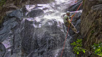 Waterfall Rappelling at Bocawina Rainforest 