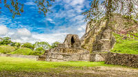 Private Tour of Altun Ha and Belize Zoo