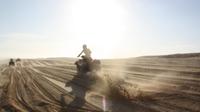 Quad Bike Combo Tour with Sand Dune Riding and Sygna Shipwreck 