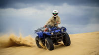 Quad Bike Safari Adventure from Williamtown image 1 Quad Bike Safari Adventure from Williamtown image 1