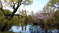 Scenic Central Park Walking Tour