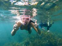 Manly Snorkeling Tour et Nature Walk