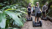 Visite-découverte de la forêt tropicale de Whitsunday en Segway image 1 Visite-découverte de la forêt tropicale de Whitsunday en Segway image 1