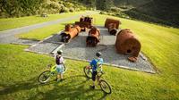 Remutaka Rail Trail Cycle Explorer - Cruise Ship Shore Excursion