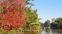 Tigre Delta Sightseeing Cruise from Buenos Aires