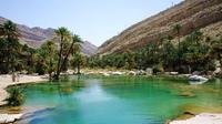 Private Tour: Day Trip Wahiba Sands Wadi Bani Khalid Tour