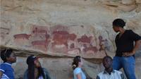 Kamberg Bushman Rock Paintings Tour from Durban