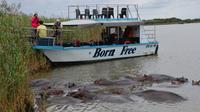 St Lucia Wetlands Day Trip from Durban Including Estuary Boat Ride