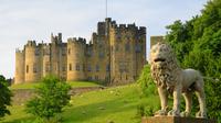 Viking Coast and Alnwick Castle Small Group Day Tour from Edinburgh