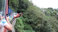 Excursão ferroviária de Curitiba até Morretes