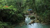 Dunn's River Falls, White River Tubing and Blue Hole Tour plus Shopping