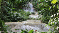 Ocho Rios Sightseeing Garden Tour