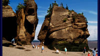 Private Full-Day Tour to Hopewell Rocks from Saint John