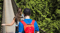 Vancouver Mountain Adventure Tour including Lunch