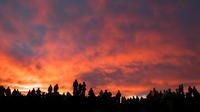 Fietstocht naar Maui Haleakala bij zonsopgang Fietstocht naar Maui Haleakala bij zonsopgang