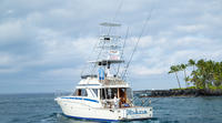 Full Day Sport Fishing Charter