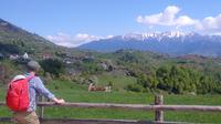 4-Day Trekking Tour in the Carpathians: Bucegi Natural Park and Piatra Craiului National Park