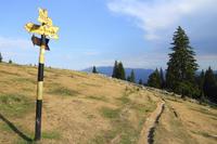 Small-Group Piatra Craiului National Park Hiking Tour from Brasov