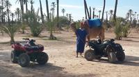 Marrakech Quad et Chameau Visite