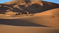Visite de nuit de Marrakech à Zagora compris Desert Camp et Camel Trek