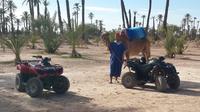 Quad à Marrakech et balade à dos de chameau Quad à Marrakech et balade à dos de chameau