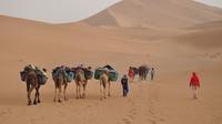 8-Day Camel Trekking Tour in the Moroccan Sahara Desert from Marrakech 