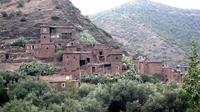 Full-Day Group Tour to Ourika Valley from Marrakech