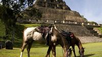 Horseback Riding Tour to Xunantunich image 1 Horseback Riding Tour to Xunantunich image 1