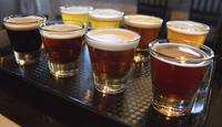 Lakeview and Lincoln Park Beer Tour