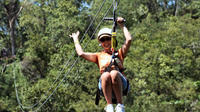 Falmouth Shore Excursion: Private Zipline Adventure