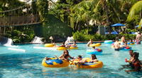 Montego Bay Shore Excursion: Private Sightseeing Tour and All-Inclusive Resort Day Pass