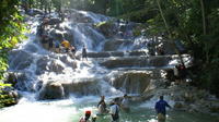 Shore Excursion: Private Ocho Rios Sightseeing Tour from Falmouth