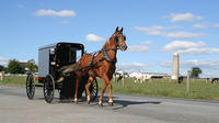4-Day Amish Experience from New Hampshire