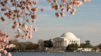 5 jours Washington DC cerise Blossom Festival