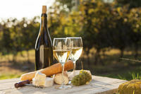 Finger Lakes Wine Festival du New Hampshire