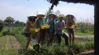 Farm-To-Table Healthy Cooking Class From Ho Chi Minh City