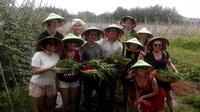 Ho Chi Minh City Full Day Cooking Class with City Tour