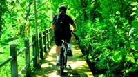 Excursion à vélo Dans la jungle au départ de Bangkok