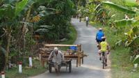 Oudong's Country Trails Bike Tour from Phnom Penh