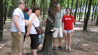 Private Half-Day Cu Chi Tunnels Tour from Ho Chi Minh City 